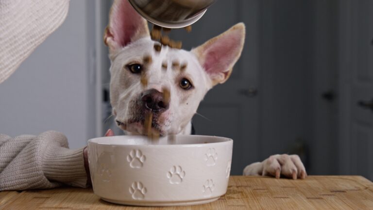 Still image from a commercial content creation project