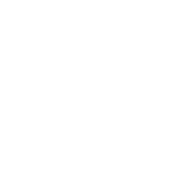 Chido One logo-03